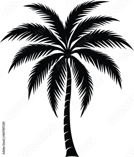 Coconut tree silhouette vector art