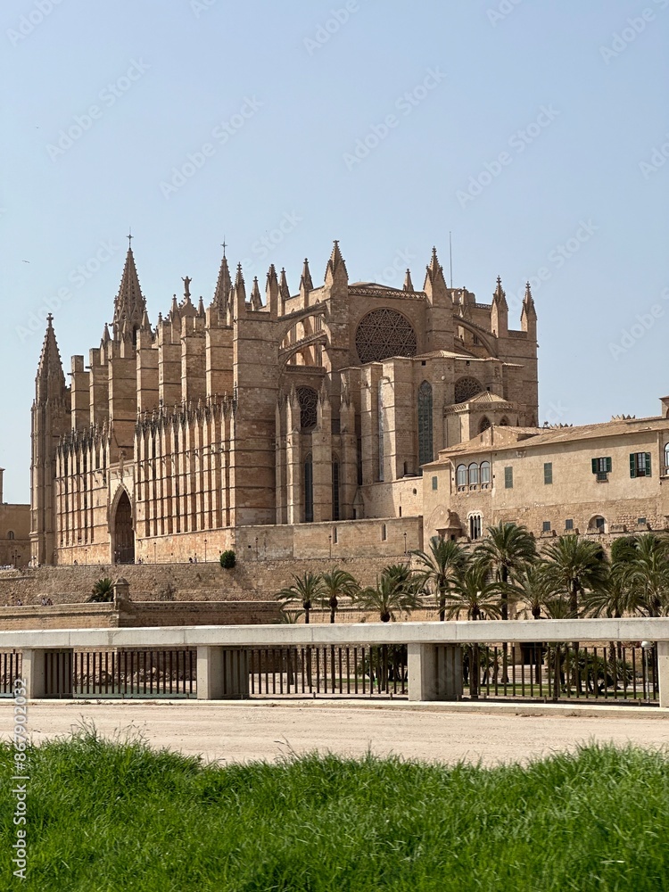 Fototapeta premium city de mallorca cathedral