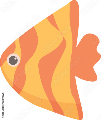 Orange and yellow freshwater angelfish swimming in profile