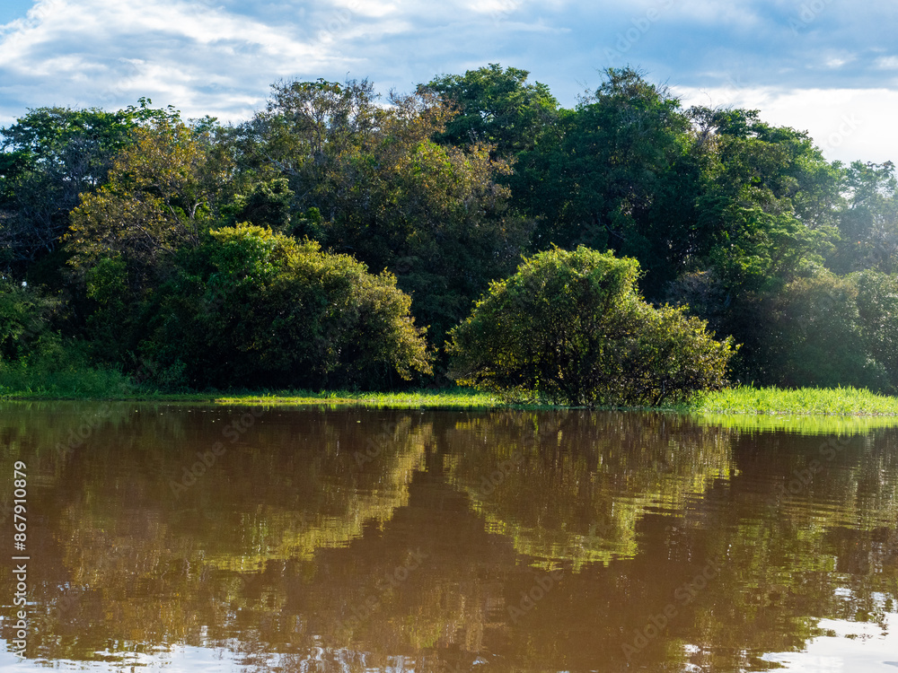Landscape on the Amazon River (here called Solimões River) east of Anamã in Brazil. Landscape on the Amazon River (here called Solimões River) east of Anamã in Brazil.