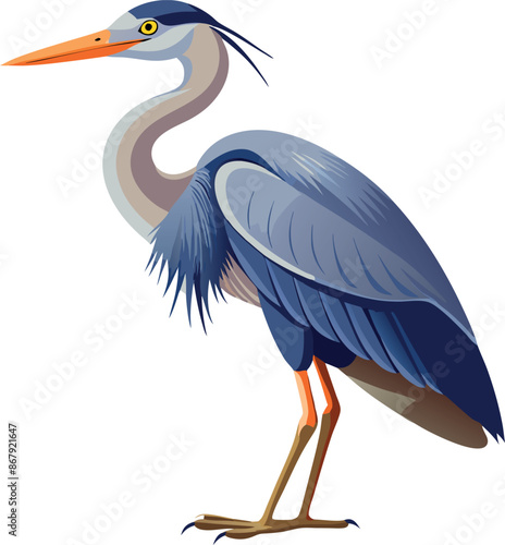 Illustration of a blue heron standing against a white background