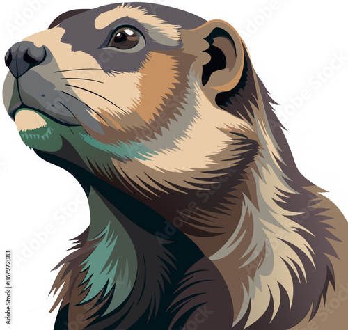 Colorful vector illustration of a marmot in profile, detailed wildlife artwork photo