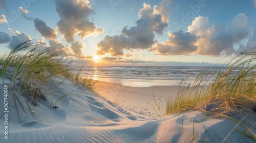 A beach scene with a sunset in the background. The sky is cloudy and the sun is setting. The beach is covered in tall grass and the sand is white