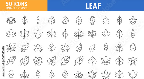 black icons leaves and branches set