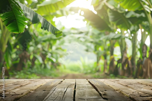 Empty wooden table top with blurred banana plantation background. Concept of nature, freshness, organic farming, and sustainability. photo