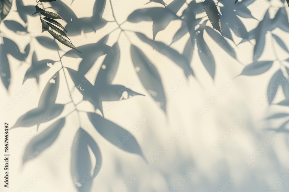 Abstract Shadow of Tree Leaves on a White Wall, Nature Background for Minimalist Design Abstract Shadow of Tree Leaves on a White Wall, Nature Background for Minimalist Design