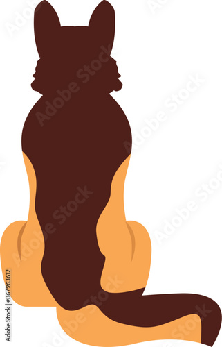 German shepherd dog is sitting, showing his back to the viewer