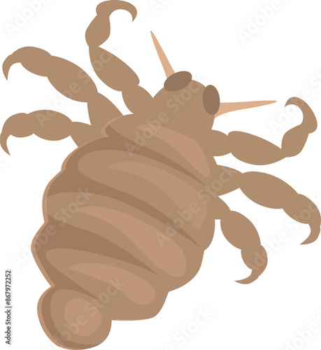 Louse insect spreading infection through bite on skin, dangerous parasite causing illness and disease