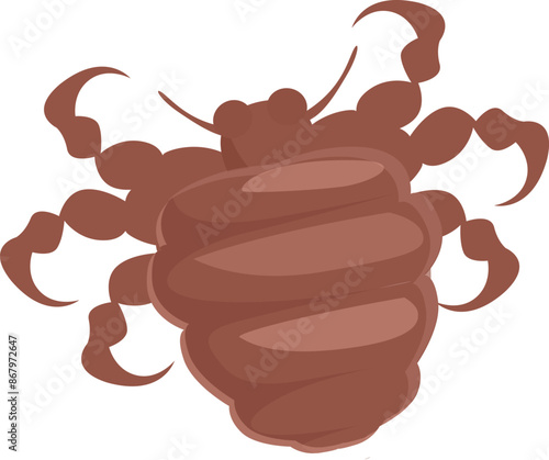 Brown louse insect with many legs crawling, dangerous parasite spreading lyme disease