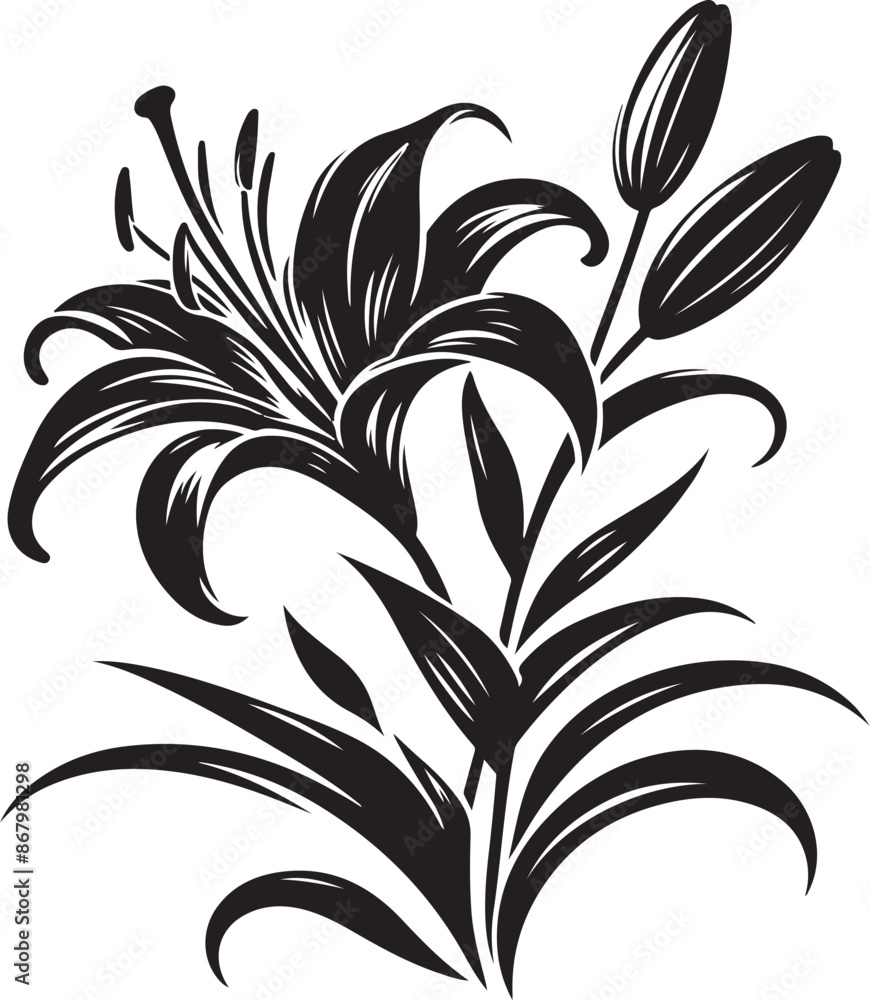 Lily flower Silhouette vector illustration Lily flower Silhouette vector illustration
