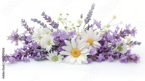 Beautiful arrangement of daisies and lavender flowers isolated on a white background, showcasing nature's delicate beauty and vibrant colors.