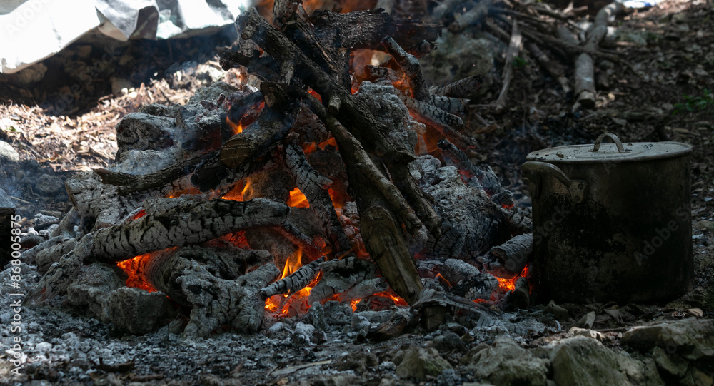 fire in the fireplace, campfire in the forest fire in the fireplace, campfire in the forest