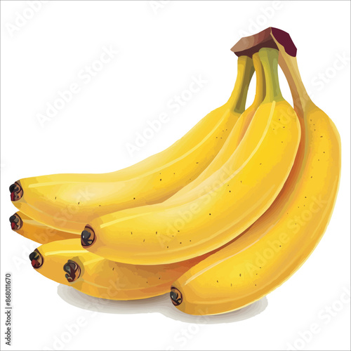 ripe yellow banana bunch vector illustration