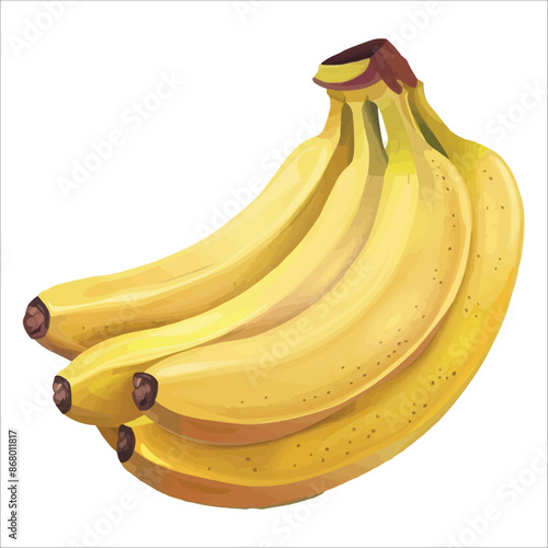 ripe yellow banana bunch vector illustration