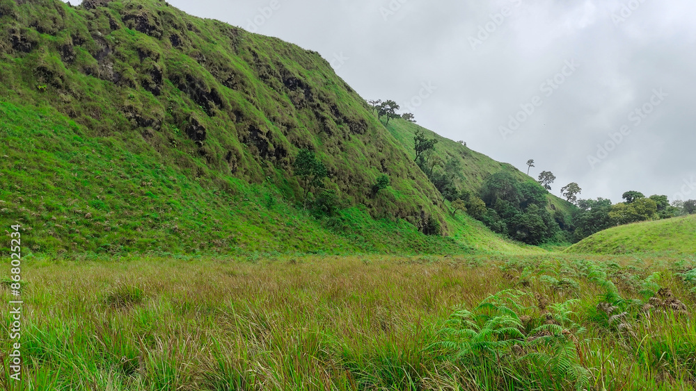 beautiful savanna propok at sembalun village lombok, indonesia. the landscape is for hiking and outdoor lifestyle concept. landscape of green field beautiful savanna propok at sembalun village lombok, indonesia. the landscape is for hiking and outdoor lifestyle concept. landscape of green field