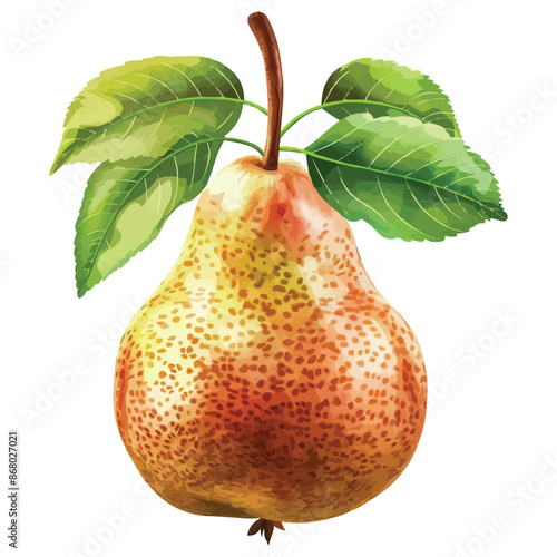 vector pear with simple stems and green leaves