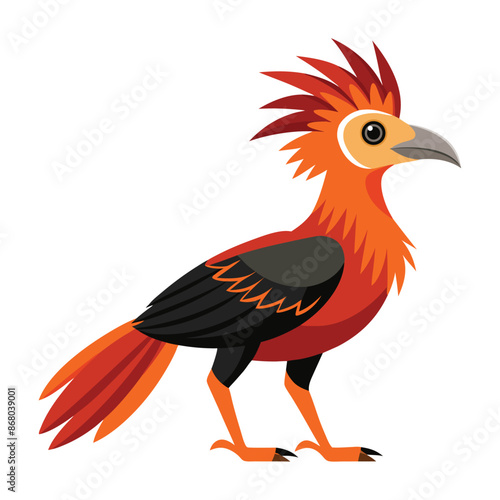 illustration of a Hoatzin animal on white