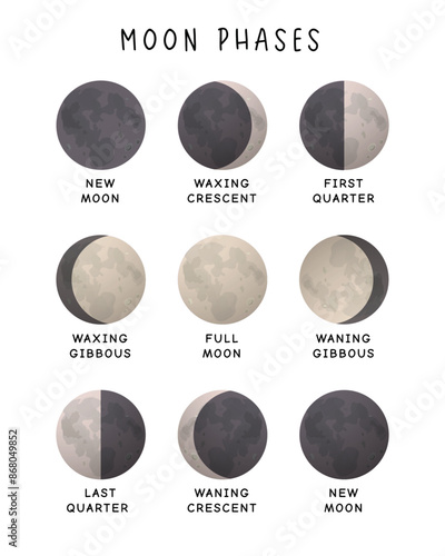 Moon Phases Movements: Realistic Vector Illustration