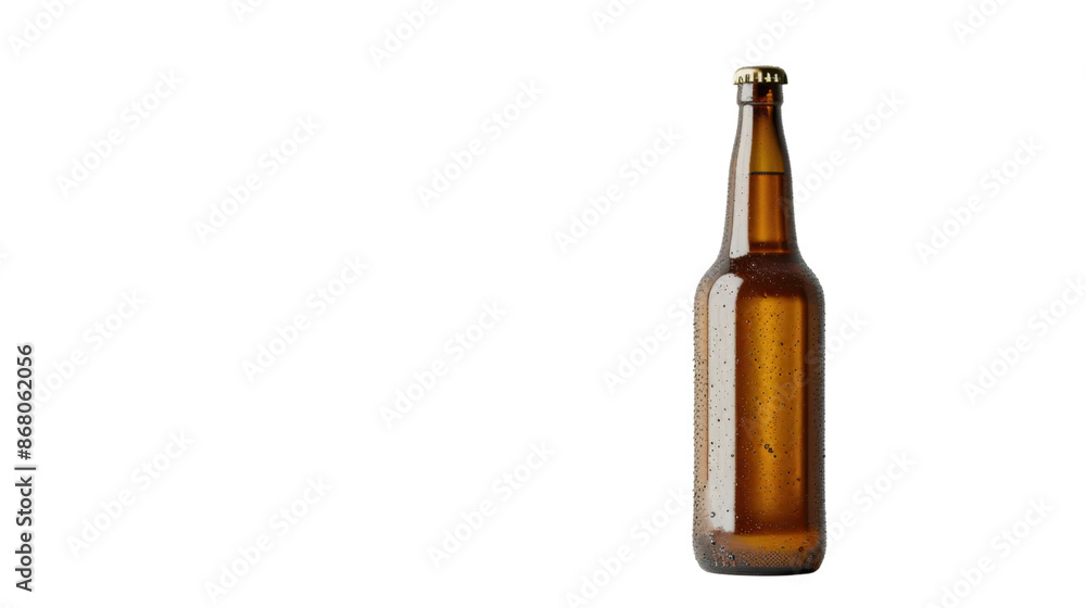 Beer bottle on transparent background Beer bottle on transparent background
