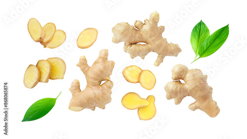 Ginger root with sliced and green leaves collection isolated on white background , clipping path.
