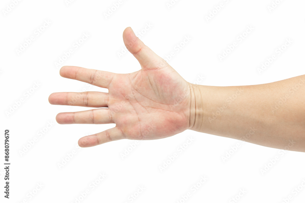 An Asian male palm showing isolated on white background An Asian male palm showing isolated on white background