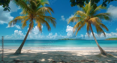 Two Palm Trees Framing a Tropical Beach Scene on a Sunny Day
