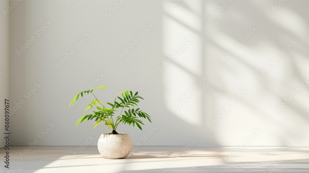 Minimalist indoor plant in a textured pot under natural light, casting elegant shadows on a neutral wall for a modern aesthetic. Minimalist indoor plant in a textured pot under natural light, casting elegant shadows on a neutral wall for a modern aesthetic.