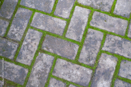 top view photo Green grass grows in the cracks of the paving floor. photo