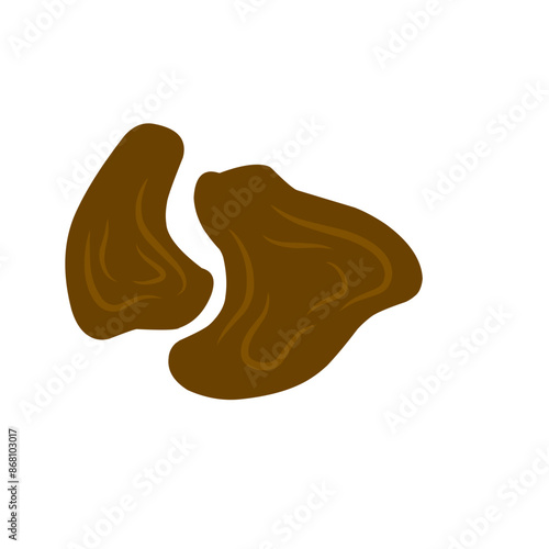mud puddle vector illustration