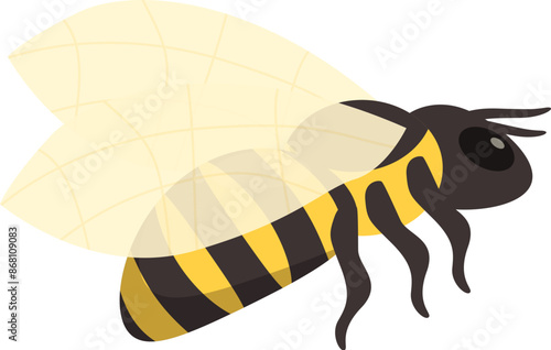 Honey bee flying with spread wings illustration