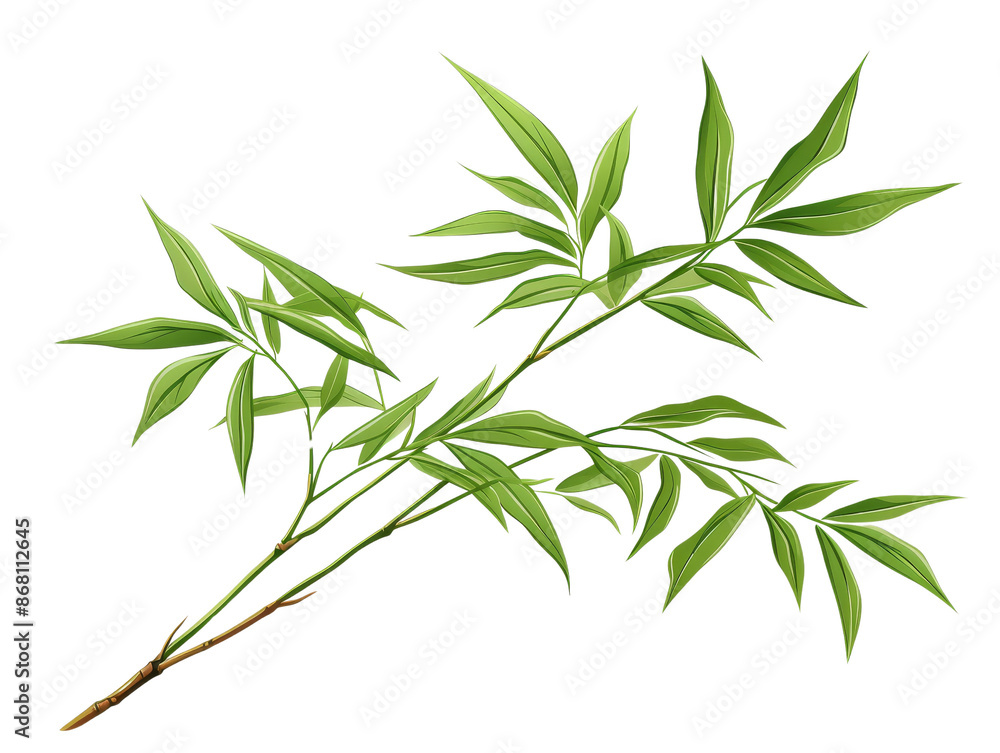 A detailed illustration of a green bamboo branch with leaves, isolated on a transparent background, ideal for nature and botanical designs. A detailed illustration of a green bamboo branch with leaves, isolated on a transparent background, ideal for nature and botanical designs.