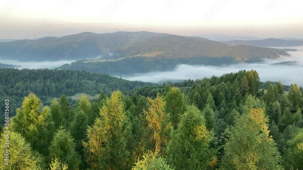 Beskid Sądecki, Muszyna Dolina Popradu, poranne mgły Beskid Sądecki, Muszyna Dolina Popradu, poranne mgły
