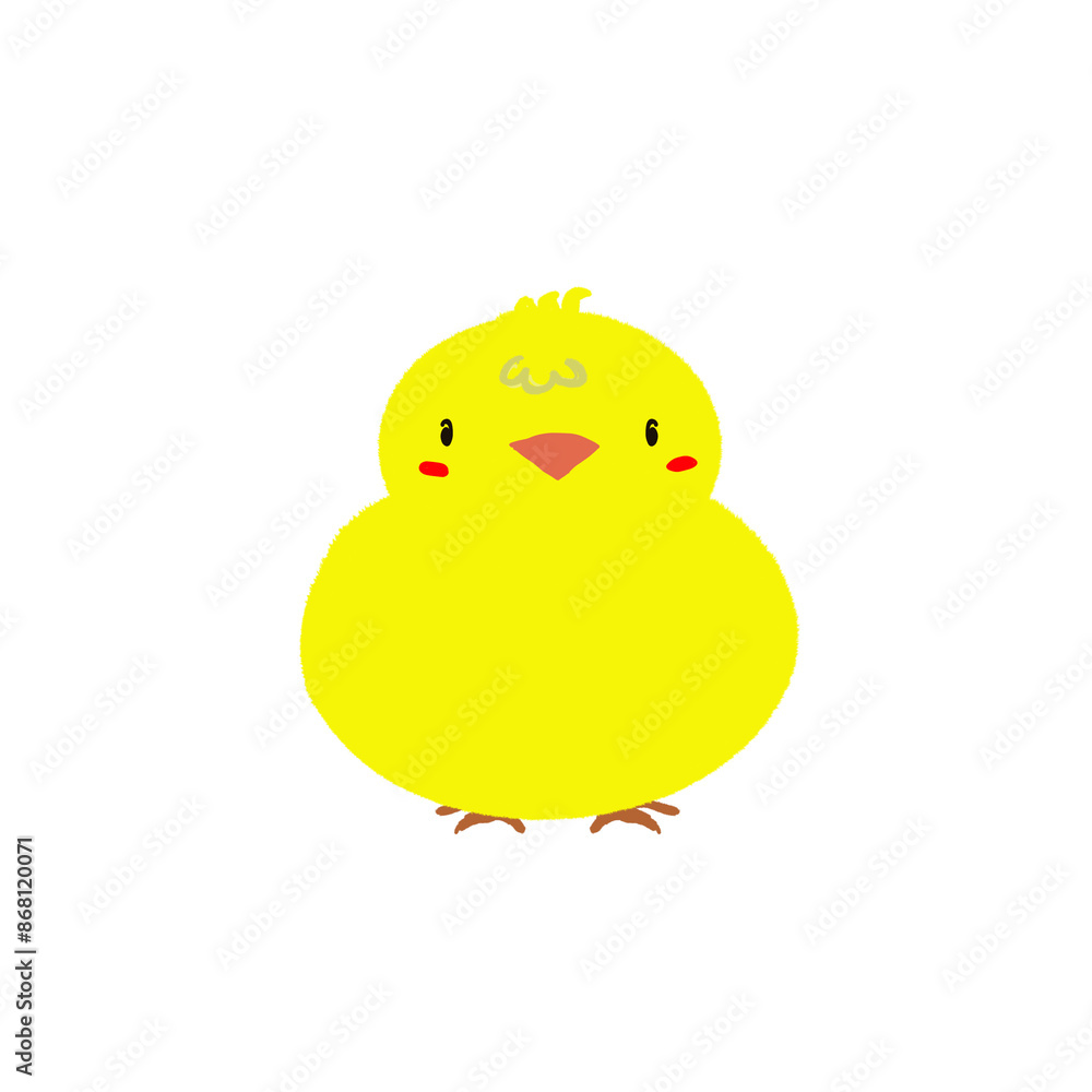 Cute Chicken Cute Chicken