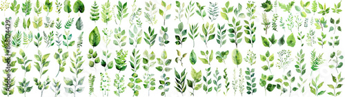 Green watercolor leaves on isolated background	