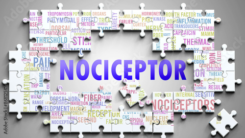 Nociceptor as a complex subject, related to important topics. Pictured as a puzzle and a word cloud made of most important ideas and phrases related to nociceptor. ,3d illustration photo