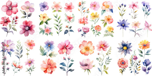 Wallpaper Mural Set watercolor elements of floral; collection. leaves, branch, botanic, garden flowers, eucalyptus, wedding floral design, invitation, cloth. Torontodigital.ca