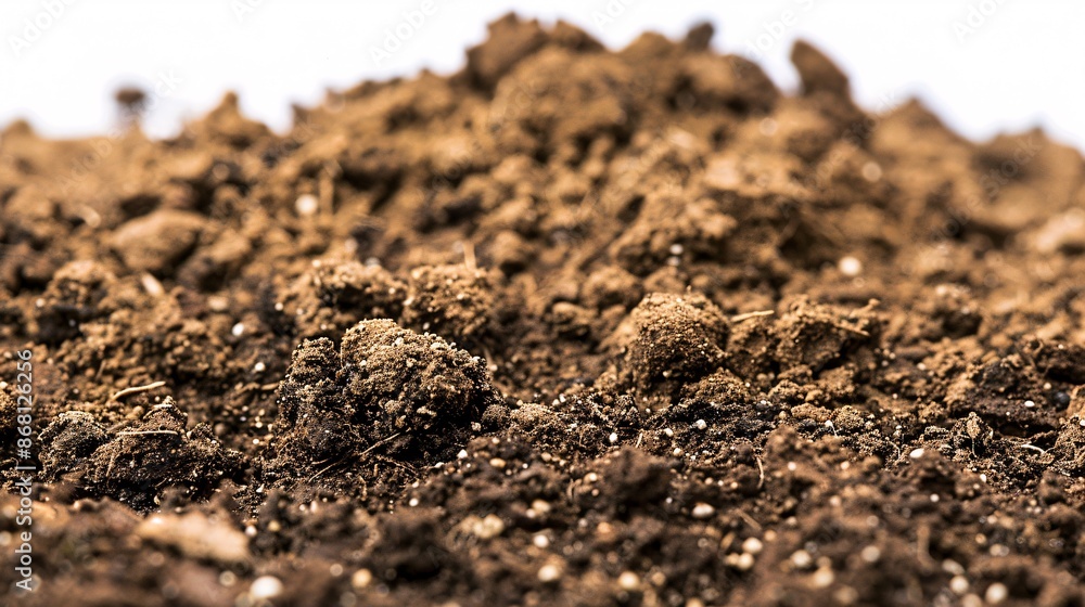 Top view of high-detailed, fertile garden soil with a white background, captured with focus stacking for enhanced texture and depth Top view of high-detailed, fertile garden soil with a white background, captured with focus stacking for enhanced texture and depth