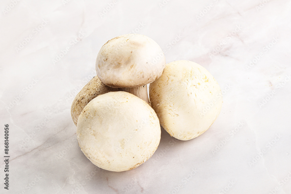 Fototapeta premium Natural organic ripe champignon mushrooms
