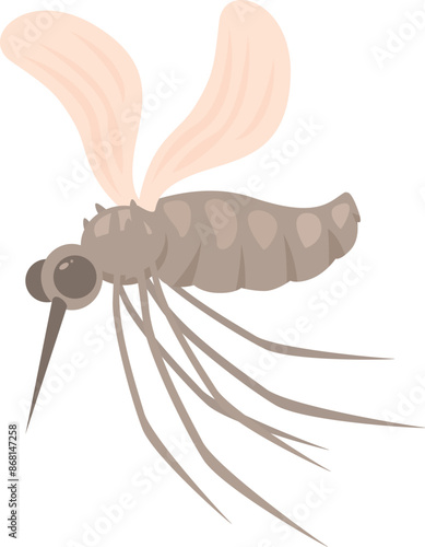 Mosquito is flying, spreading potentially deadly diseases like malaria, zika virus and dengue fever