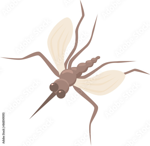 Mosquito is spreading its wings preparing to bite and transmit dangerous diseases
