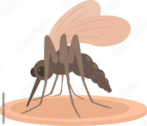 Mosquito landing on skin drinking blood spreading disease