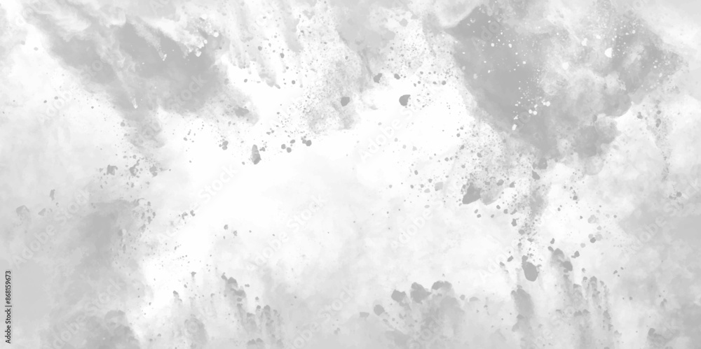 Fototapeta premium Luxury white paper texture with speckled grunge grey crack texture design.. Dirty white paint concrete wall texture background. Light gray snow pattern, vector illustration. with copy space.