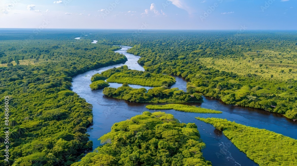 A lush green jungle with a river running through it A lush green jungle with a river running through it