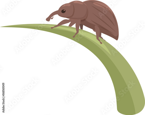 Simple cartoon illustration of a brown weevil walking on a green grass blade