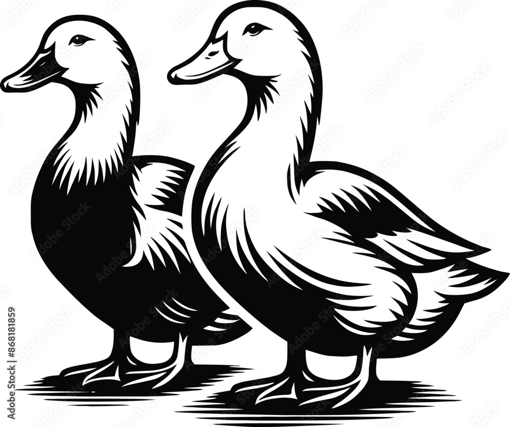 Duck goose silhouette vector png. Vector illustration duck png. transparent background Duck goose silhouette vector png. Vector illustration duck png. transparent background
