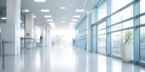 Modern Office Corridor with Plant and Large Windows