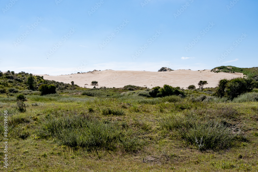 Dune de sable avec une prairie en avant plan Dune de sable avec une prairie en avant plan