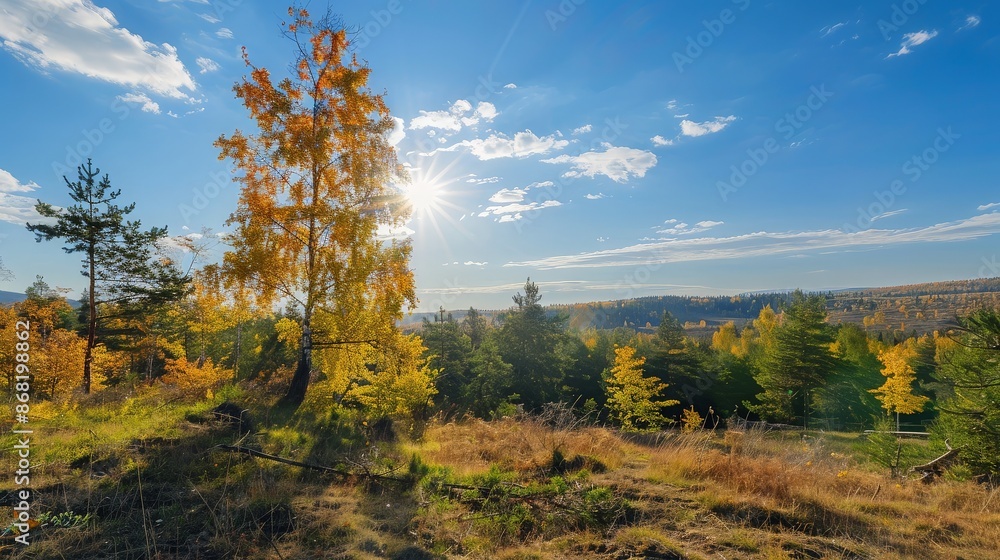 Autumn Landscape with a Golden Birch Tree in the Foreground Autumn Landscape with a Golden Birch Tree in the Foreground
