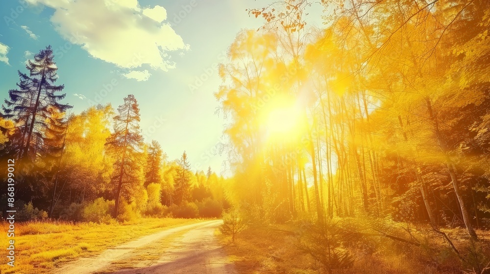 Sunlit Autumn Path Through Golden Forest Sunlit Autumn Path Through Golden Forest