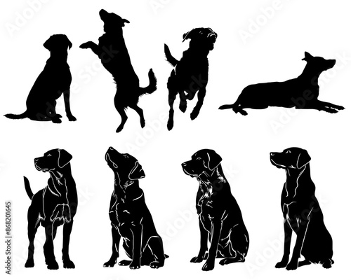 Silhouettes of dogs in various poses on a transparent background